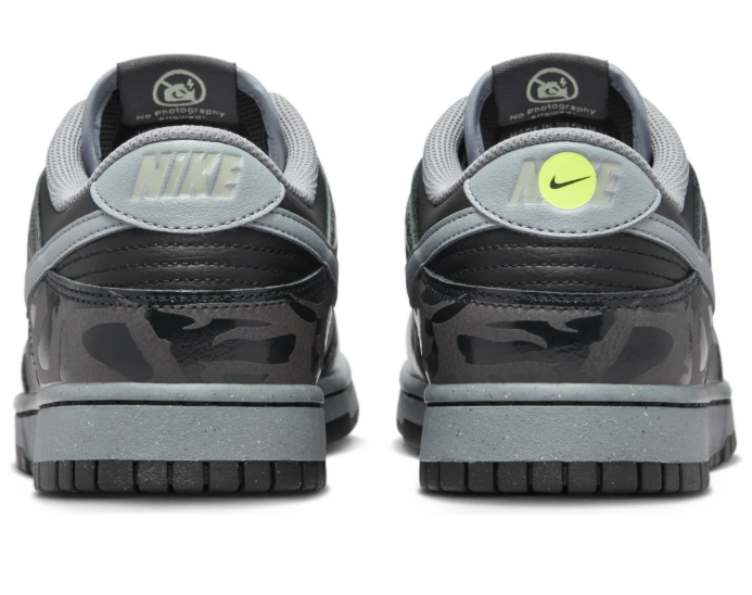 Nike Dunk Low 'Berlin' FZ3053-001 – City-Inspired Low-Top