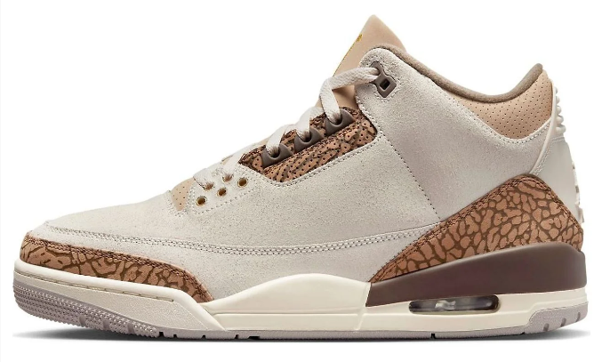 Air Jordan 3 Retro 'Palomino' Sneakers | CT8532-102